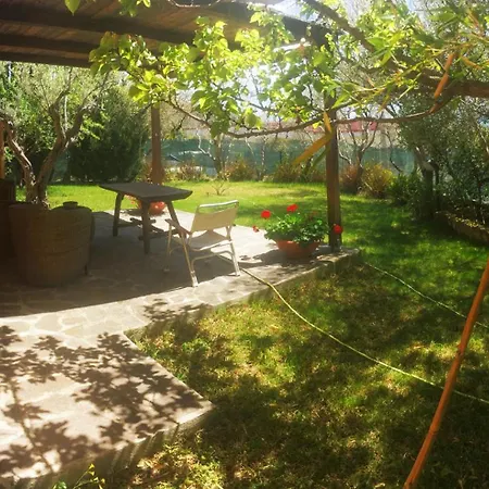 B&B Villa Giglio-3